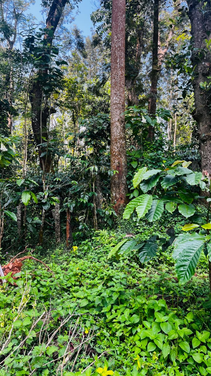 WhatsApp Image 2025 12 24 At 20.20.52