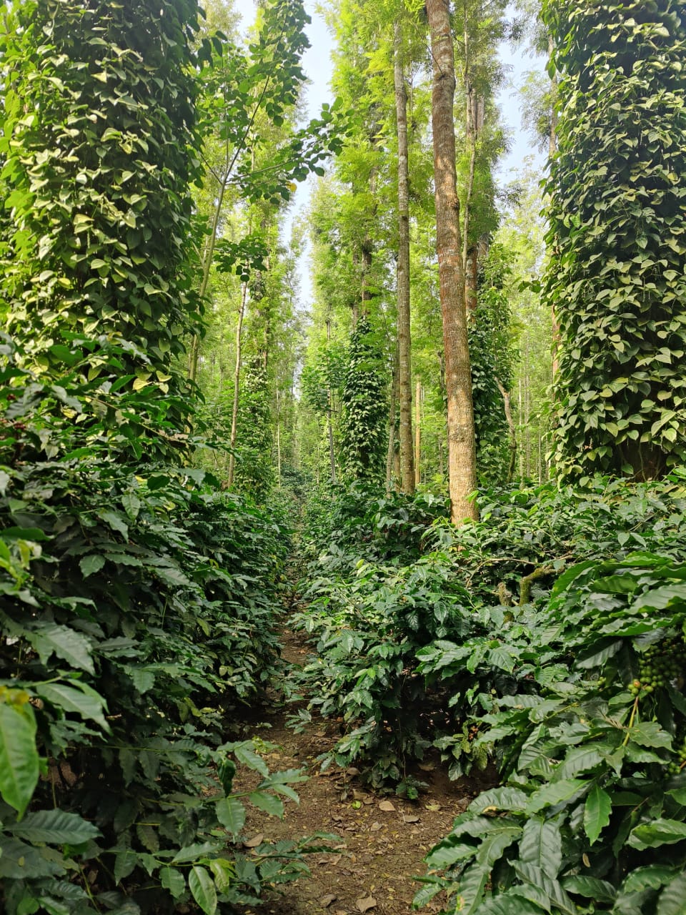 WhatsApp Image 2025 12 25 At 18.36.47 1