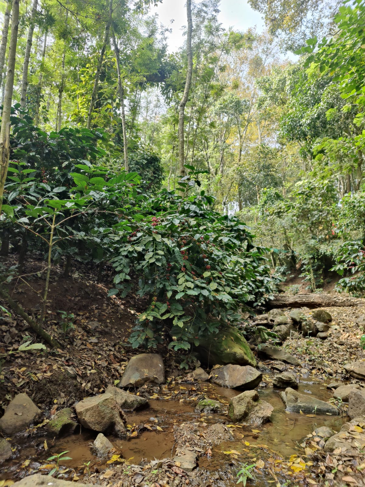 WhatsApp Image 2025 12 25 At 18.36.53 1